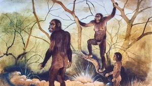 Miniatura: "Lucy". Znalezisko, które...