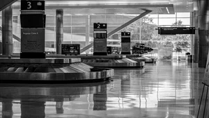 Miniatura: Nietypowy śpioch