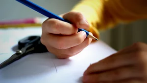 Miniatura: "Edukacja Zdrowotna nie powinna być...