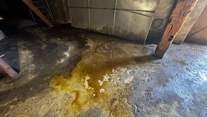 Miniatura: Poważne zagrożenie. Kwas siarkowy w...