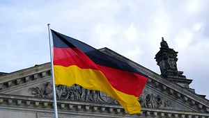 Miniatura: Elity kordonowe