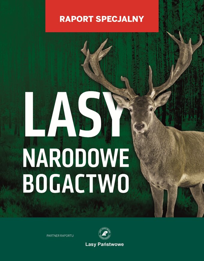 Lasy – bogactwo narodowe