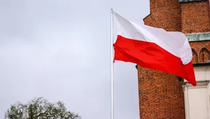 Miniatura: Polska dla Polaków i…?