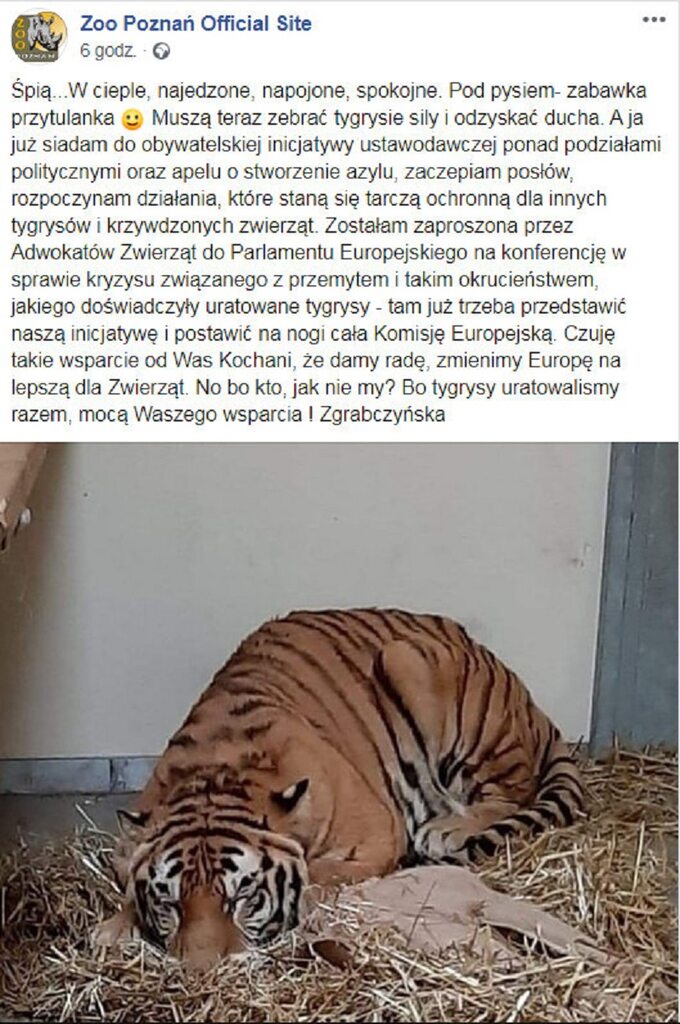 Poznańskie zoo relacjonuje w mediach społecznościowych sytuację nowych podopiecznych.