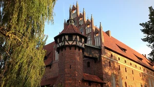 Miniatura: Piękno ekslibrisu