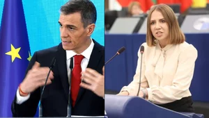 Miniatura: Legalizacja nielegalnych imigrantów....