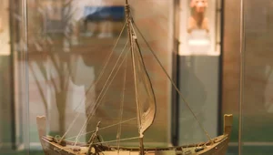 Miniatura: Znalezione przez przypadek. Tylko...