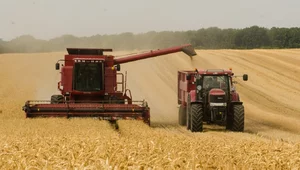 Miniatura: Alarmujące głosy z Ukrainy. Będzie embargo...