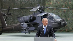 Miniatura: Tusk: Żeby to dotarło do Waszyngtonu,...