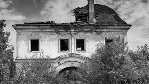 Miniatura: Cień Radnot