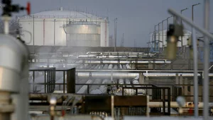 Miniatura: Prof. Góralczyk: Węgry nie odetną Ukrainie...