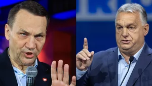 Miniatura: Orban przypomniał, że UE nie jest stroną...