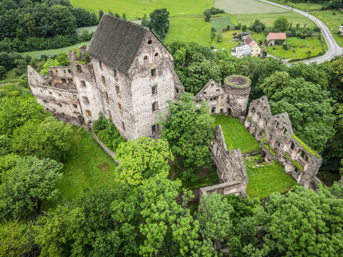 Zamek Świny