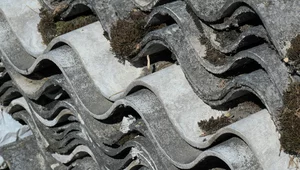 Miniatura: Jedno przeoczenie i nawet 20 tys. zł kary....