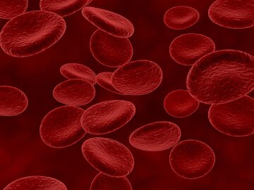 12 zasad leczenia hemofilii