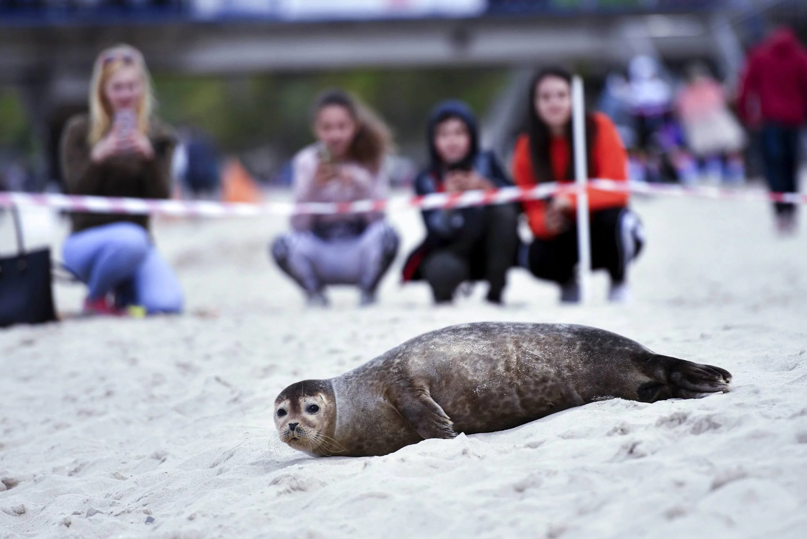 fot. zdjęcie ilustracyjne