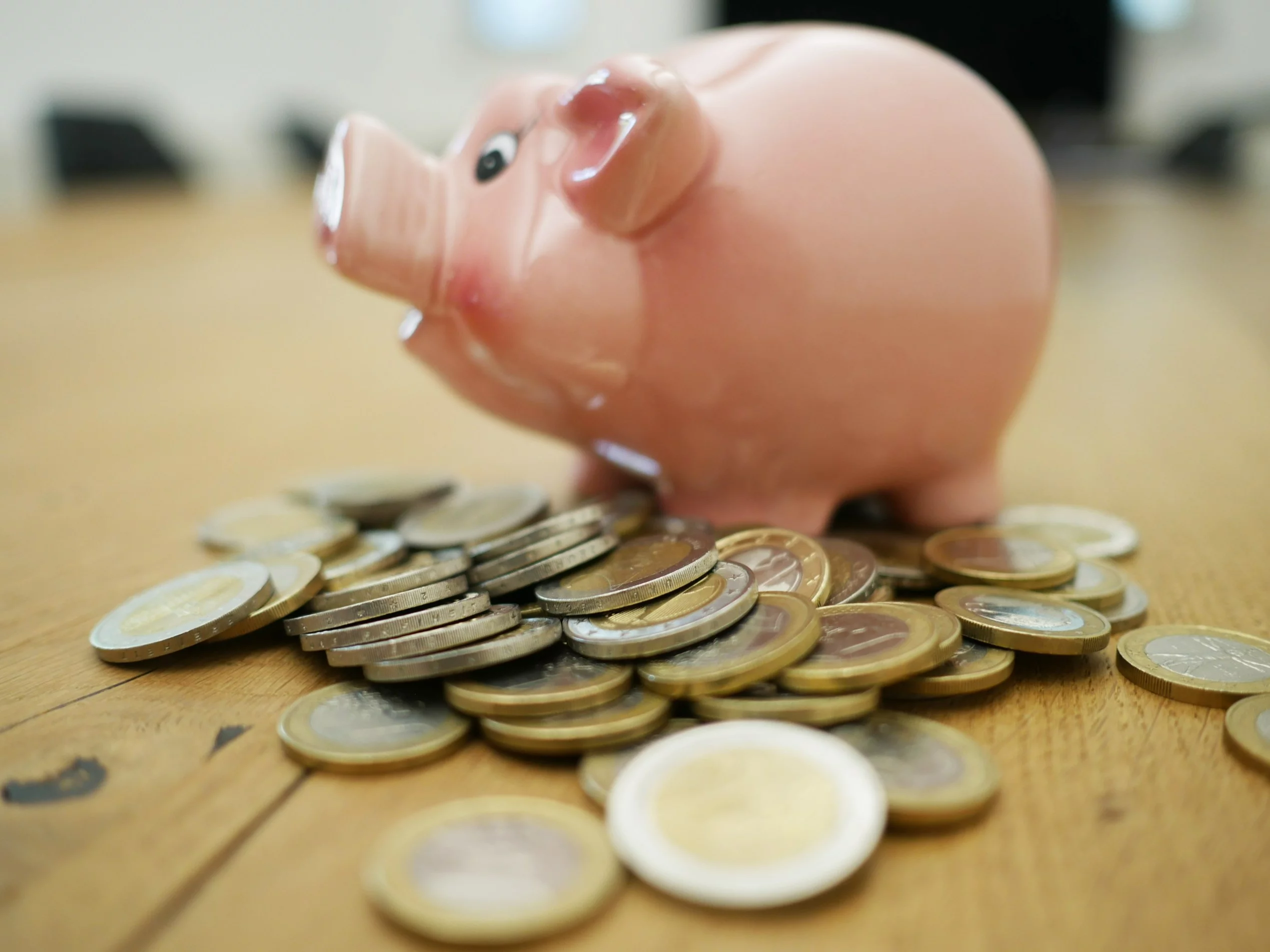 800 plus dla cudzoziemców. Oto, do kogo trafiają pieniądze