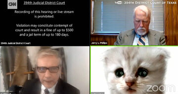 Adwokat Rod Ponton przez przypadek włączył filtr, który zmienił jego wizerunek na obrazek kota.