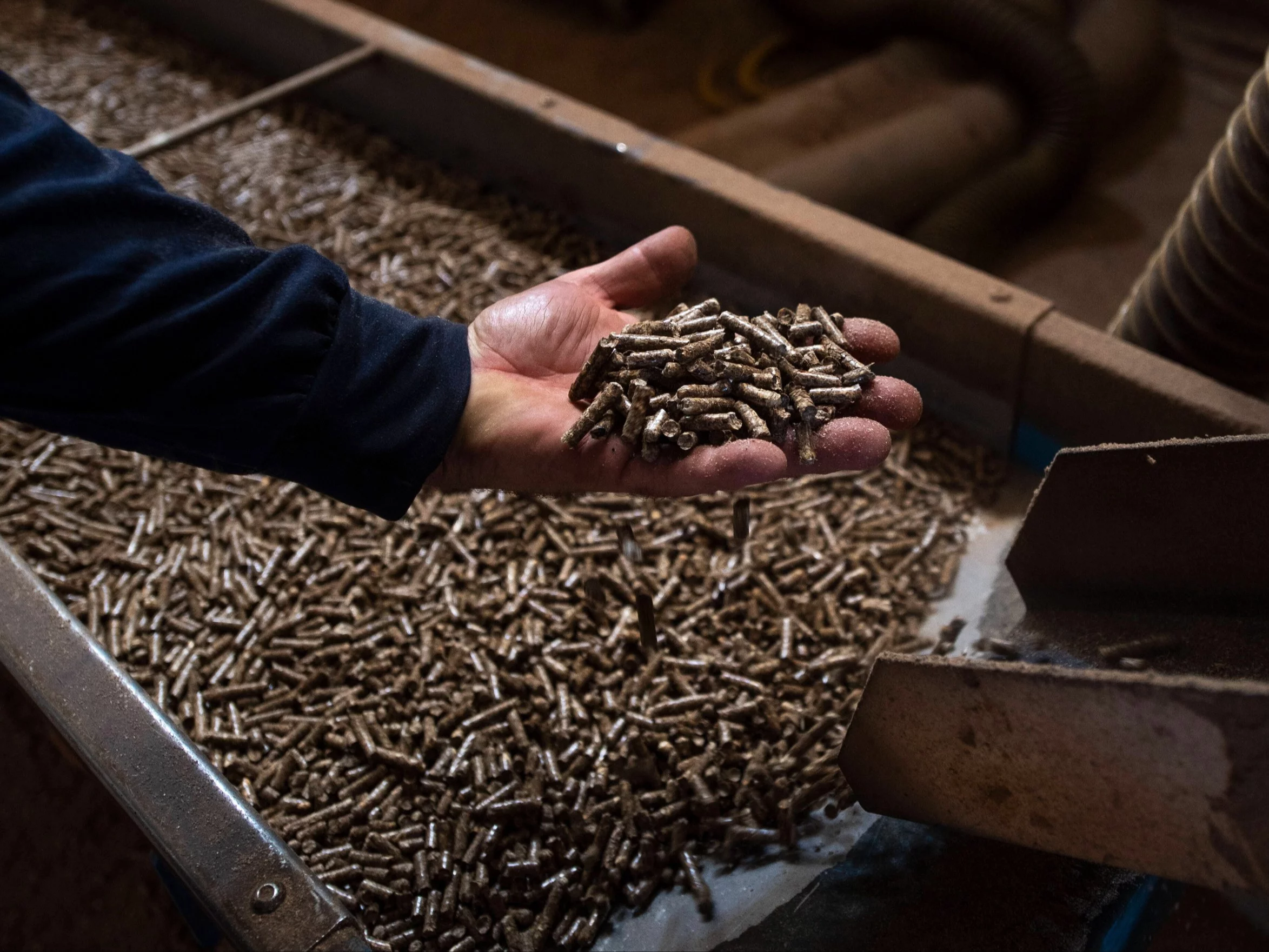 Pellet; zdjęcie ilustracyjne