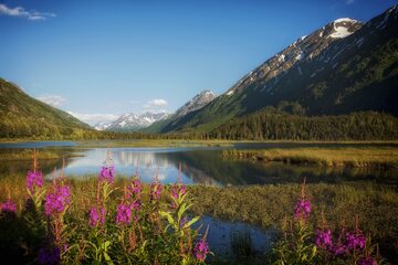 Alaska. Zdjęcie ilustracyjne