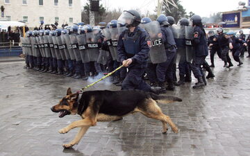 Albańska policja