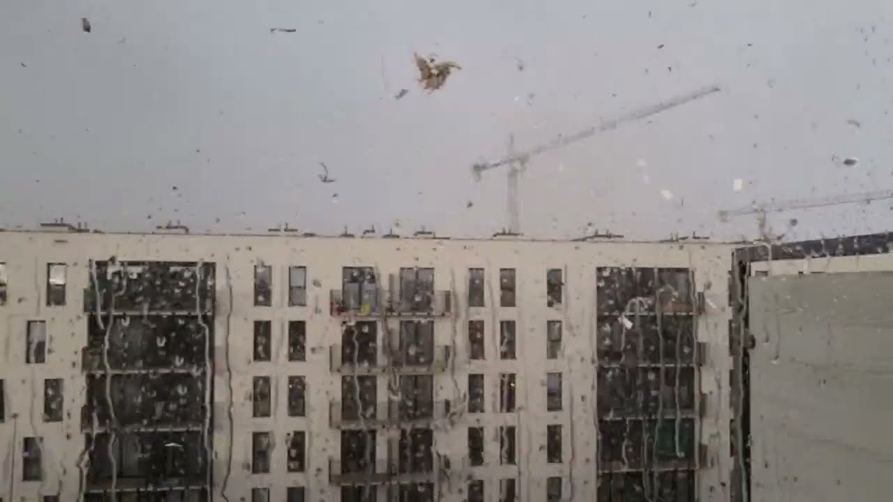 Żuraw budowlany w Krakowie