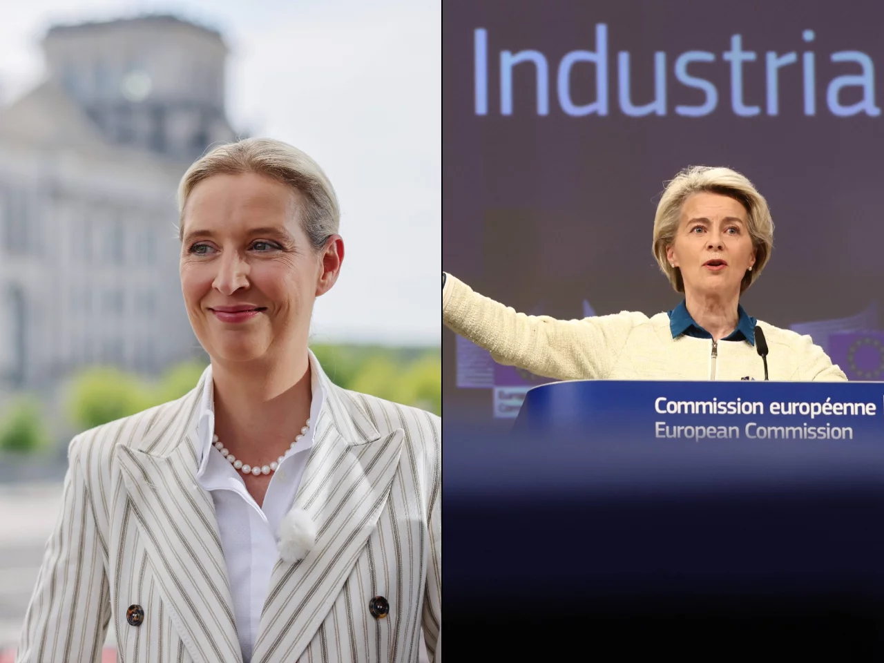 Alice Weidel, Ursula von der Leyen