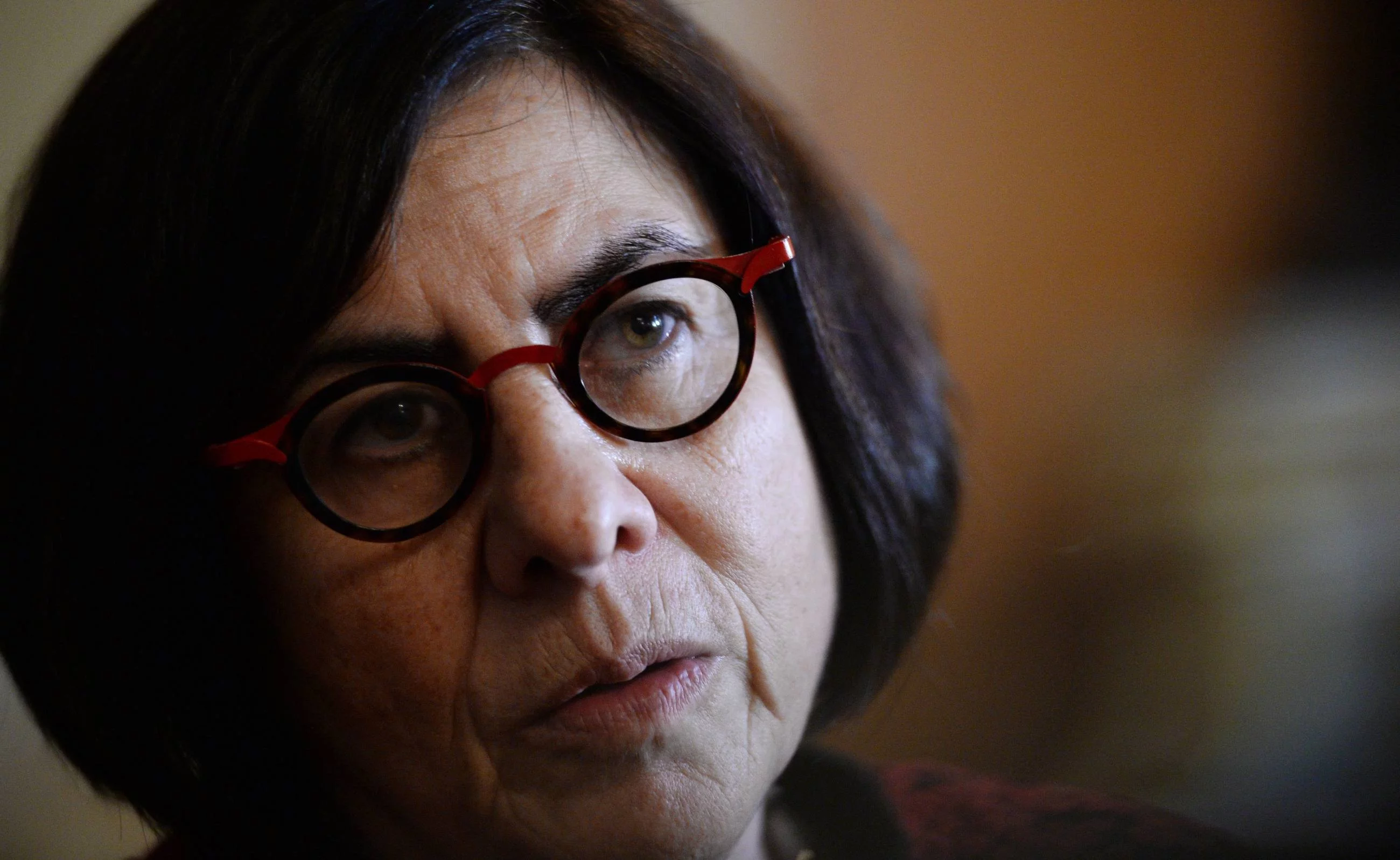 Anna Azari, ambasador Izraela w Polsce