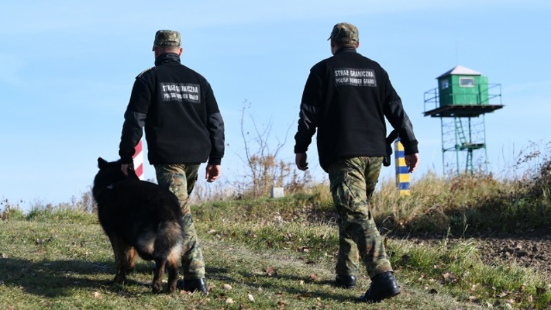 Patrol Straży Granicznej