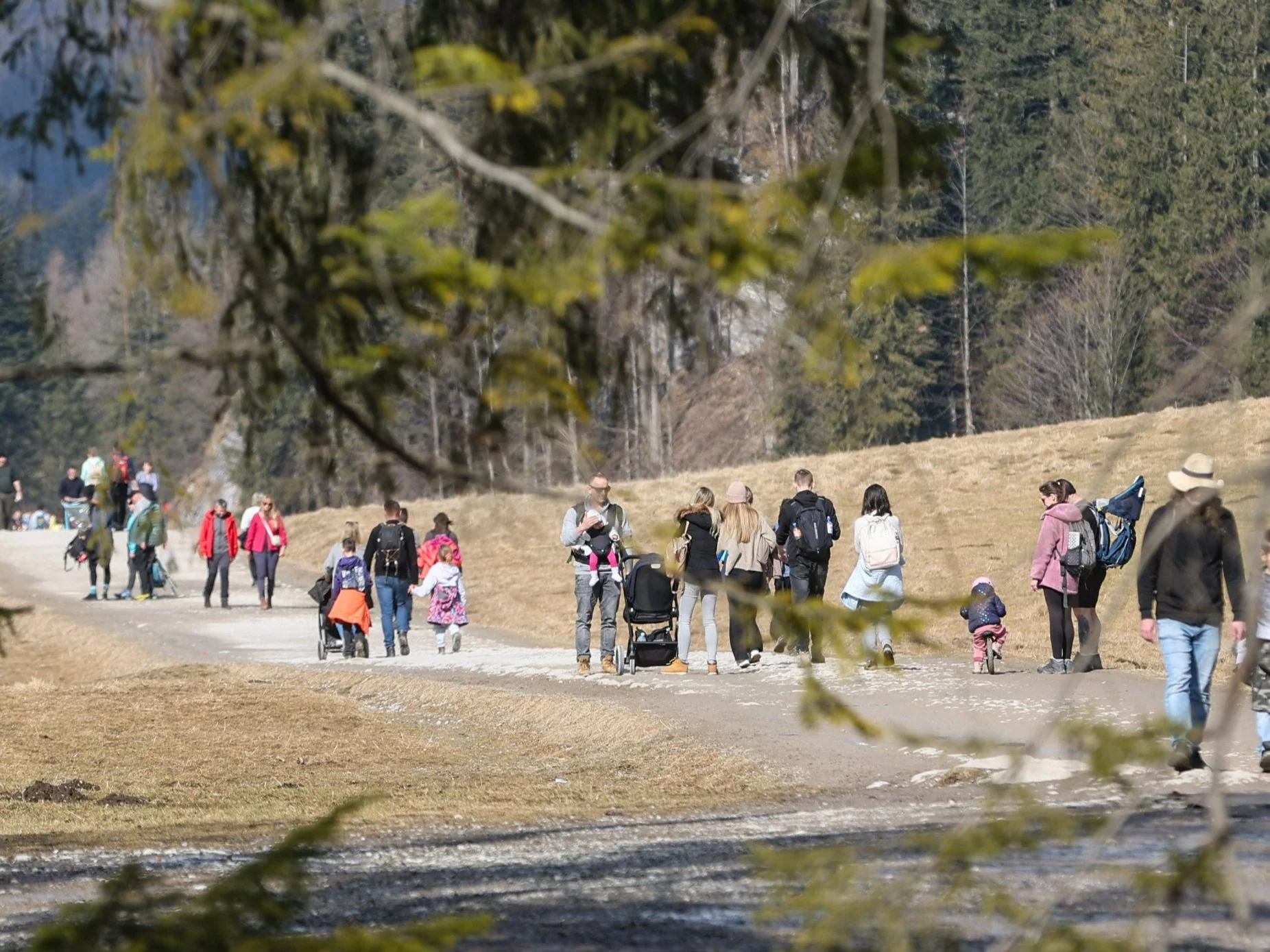 Szlak w Dolinie Kościeliskiej