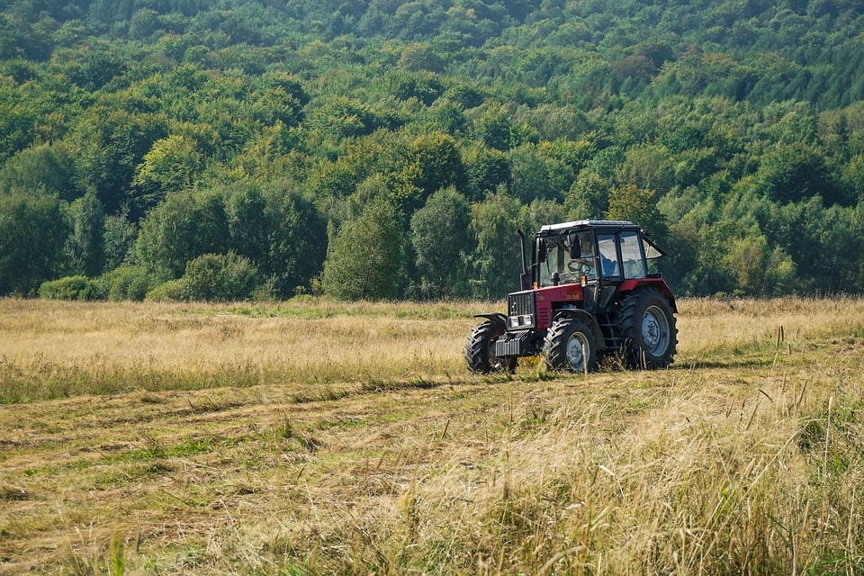 Zdjęcie ilustracyjne