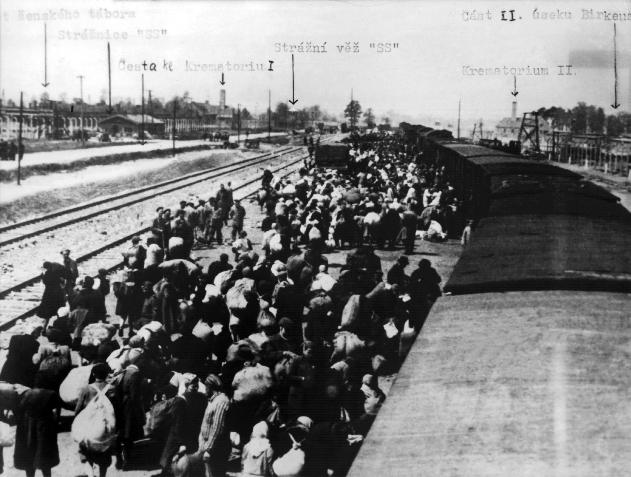 Transport więźniów przywiezionych do obozu koncentracyjnego Auschwitz-Birkenau.