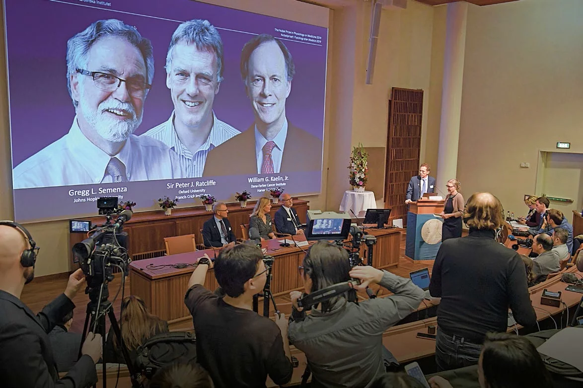 Będzie polski Nobel w medycynie?