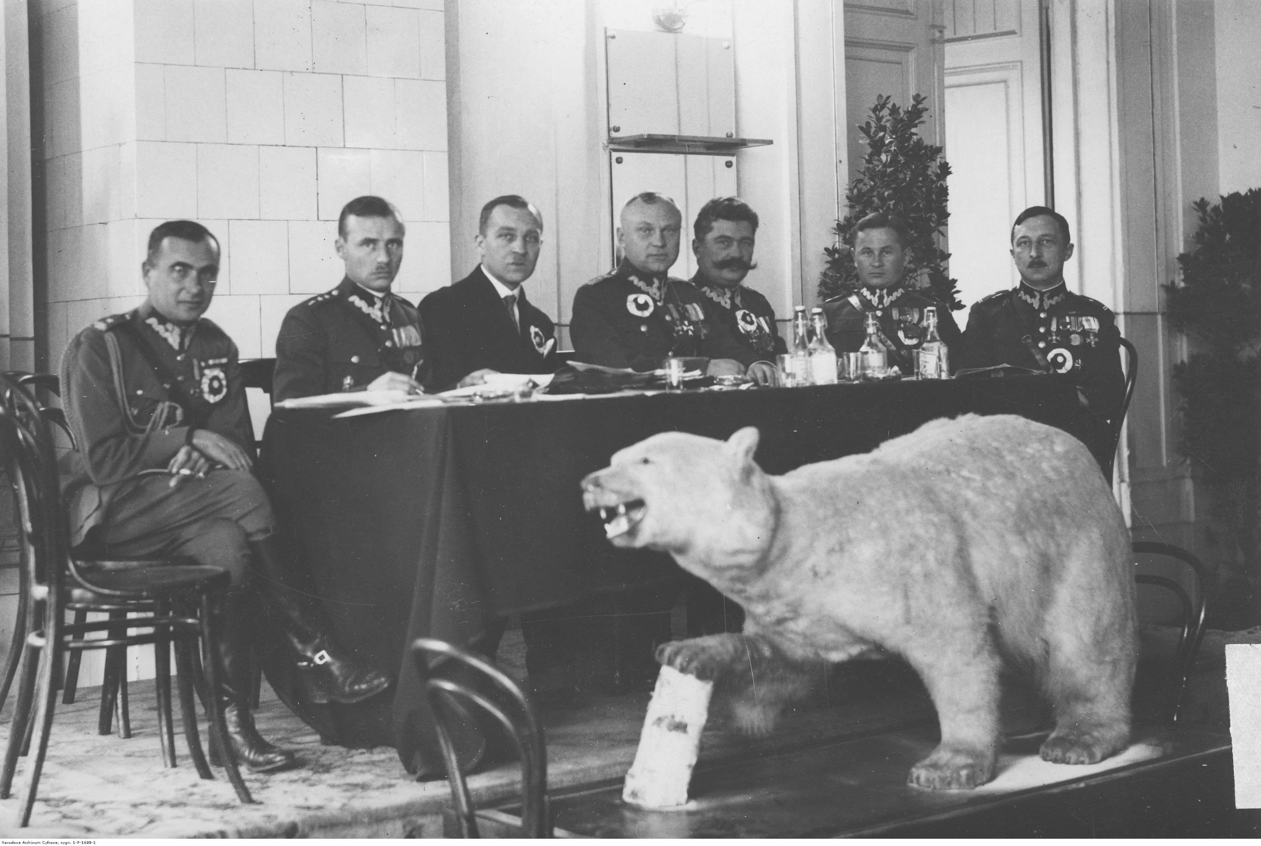 Biała niedźwiedzica i czerwoni