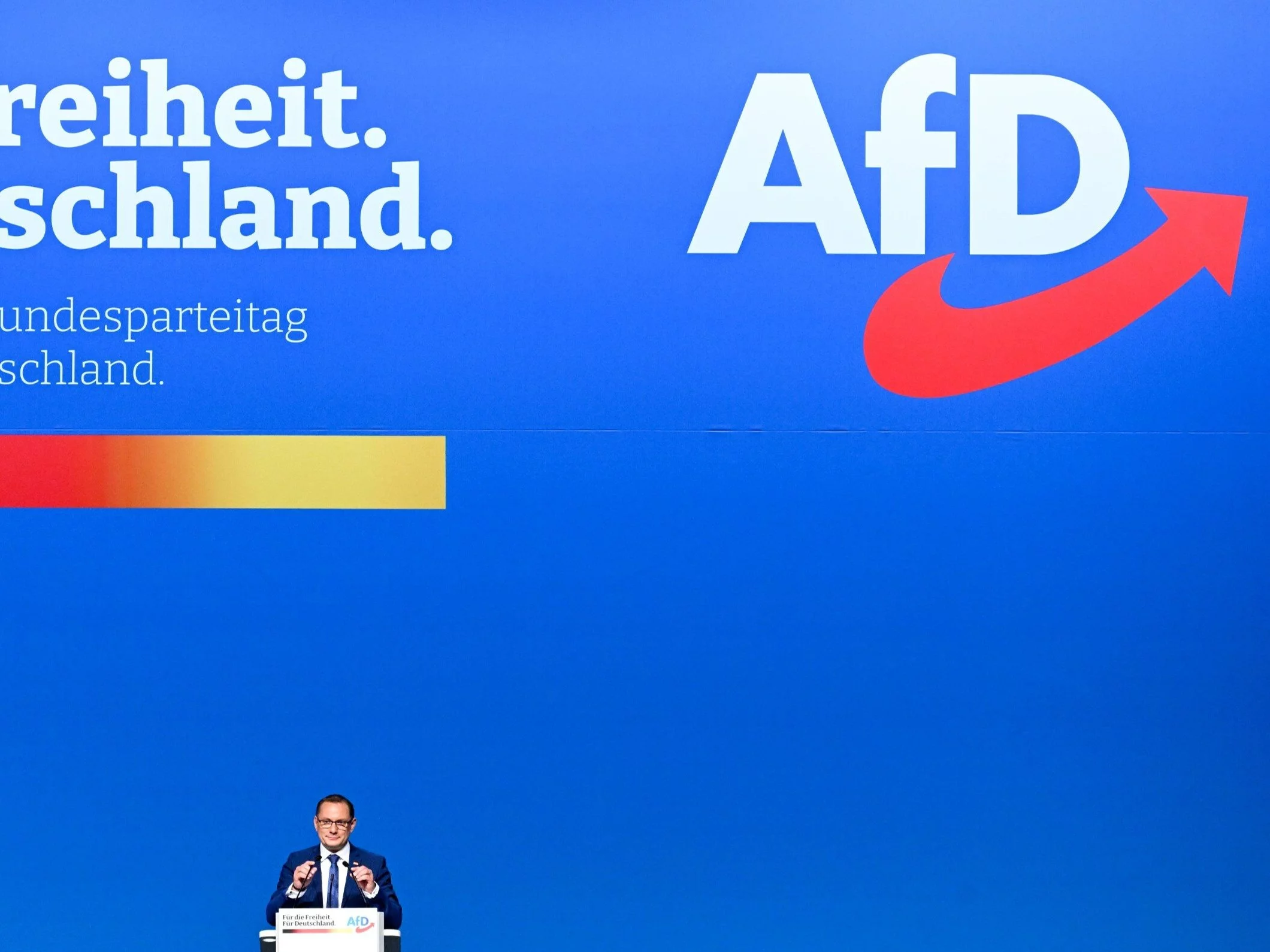Konwencja AfD, zdjęcie ilustracyjne