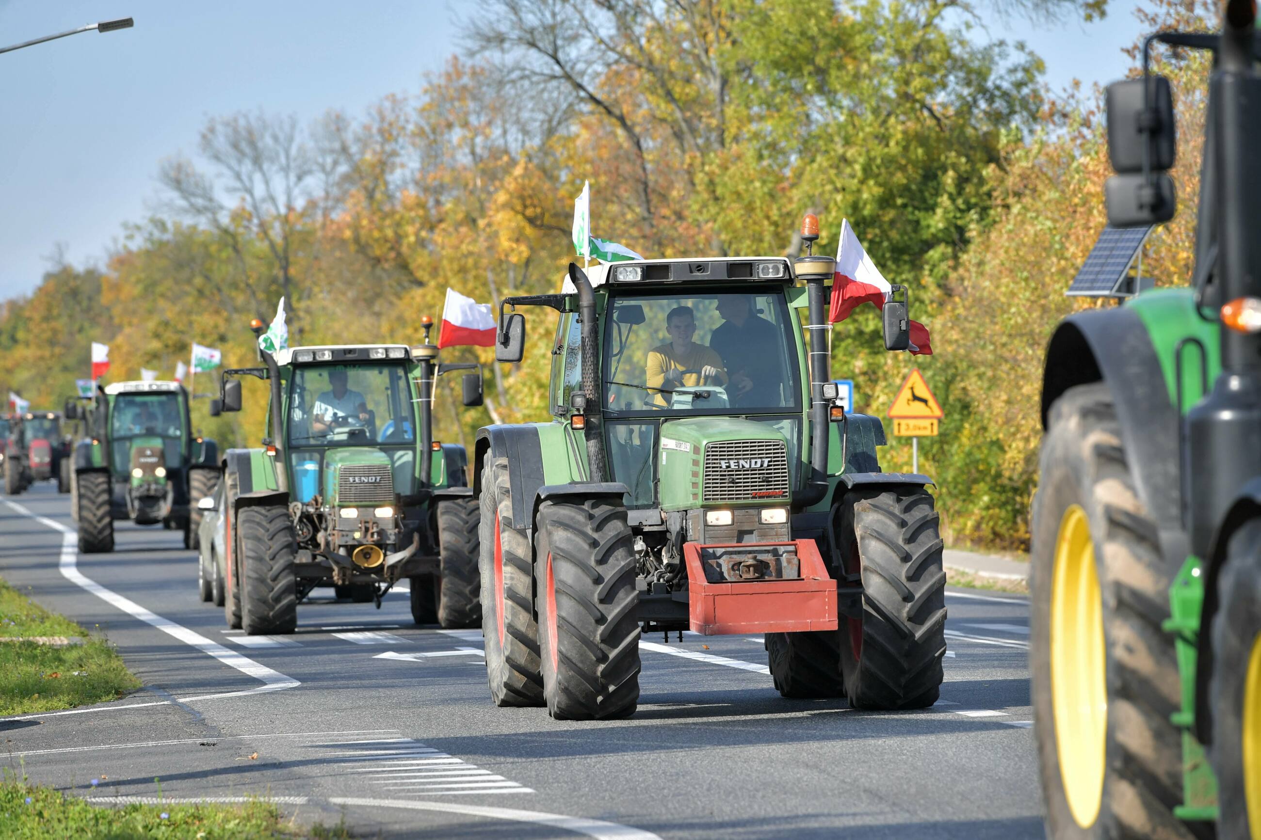 fot. zdjęcie ilustracyjne