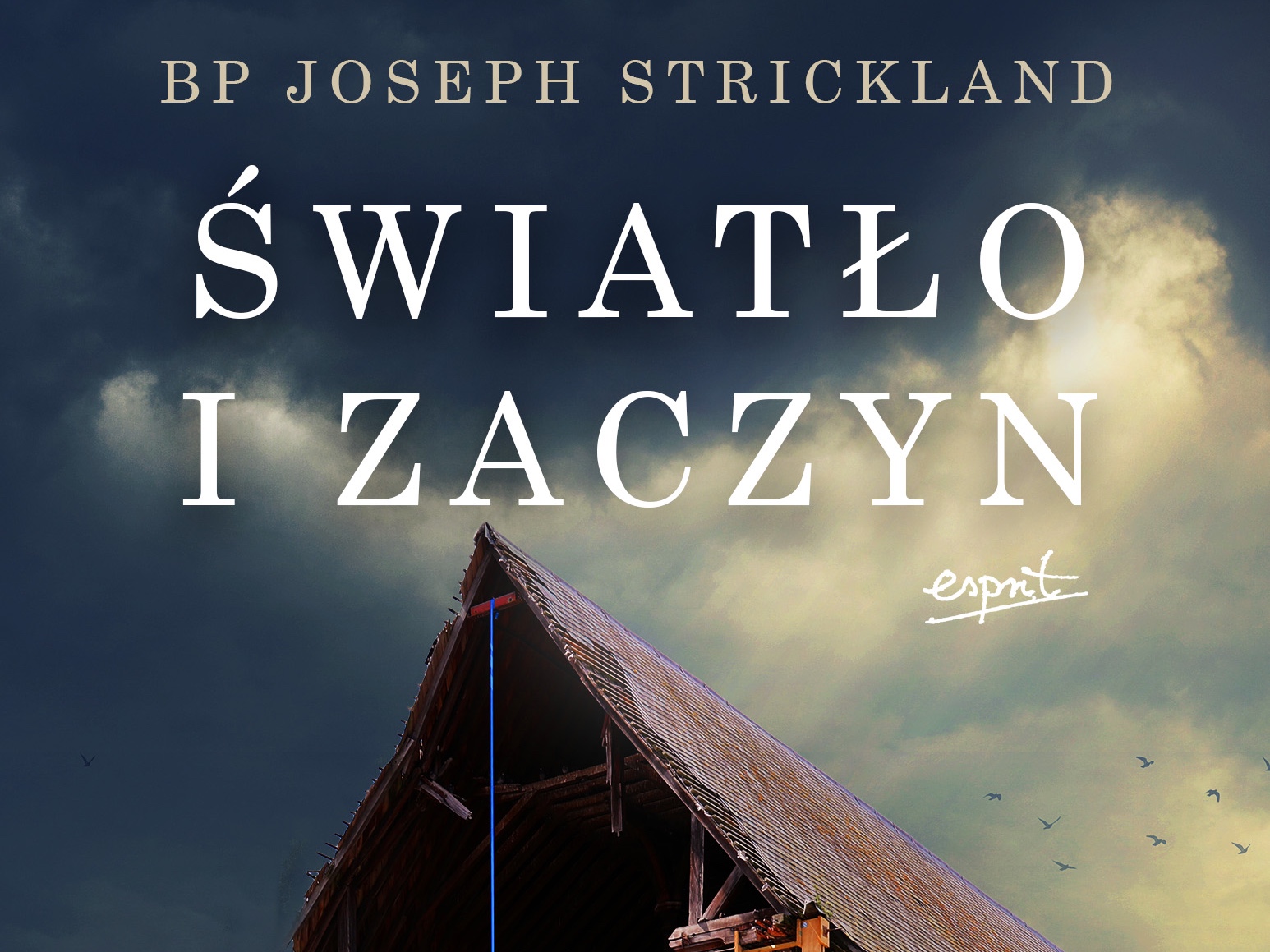 Bp Joseph Strickland, „Światło i zaczyn”