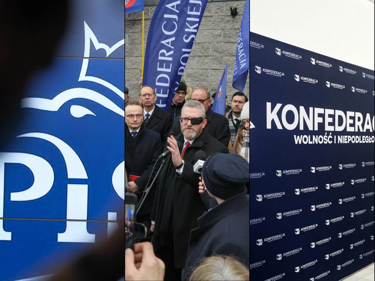 Logo PiS, Konfederacja, Grzegorz Braun