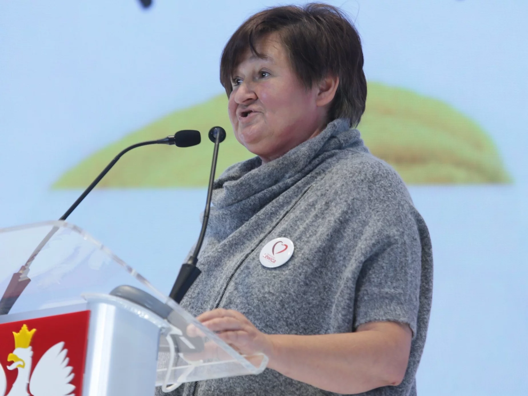 Budowa orlików a faszyzm. Osobliwa teoria prof. Środy