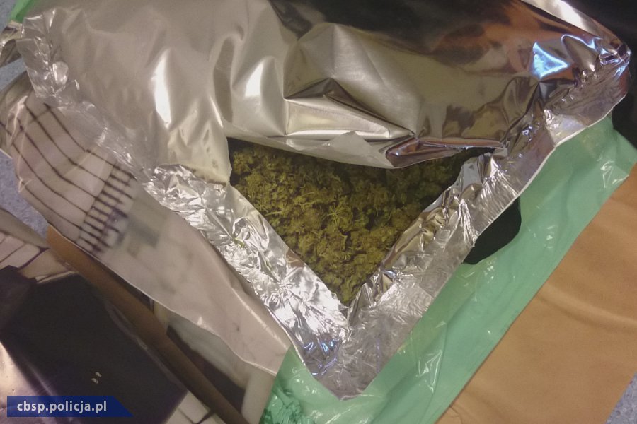 CBŚP rozbiło grupę przemytników