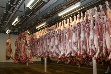 CBŚP w zakładzie mięsnym w Kutnie