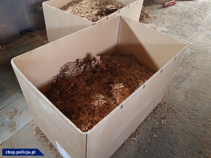 CBŚP zatrzymało 13 osób