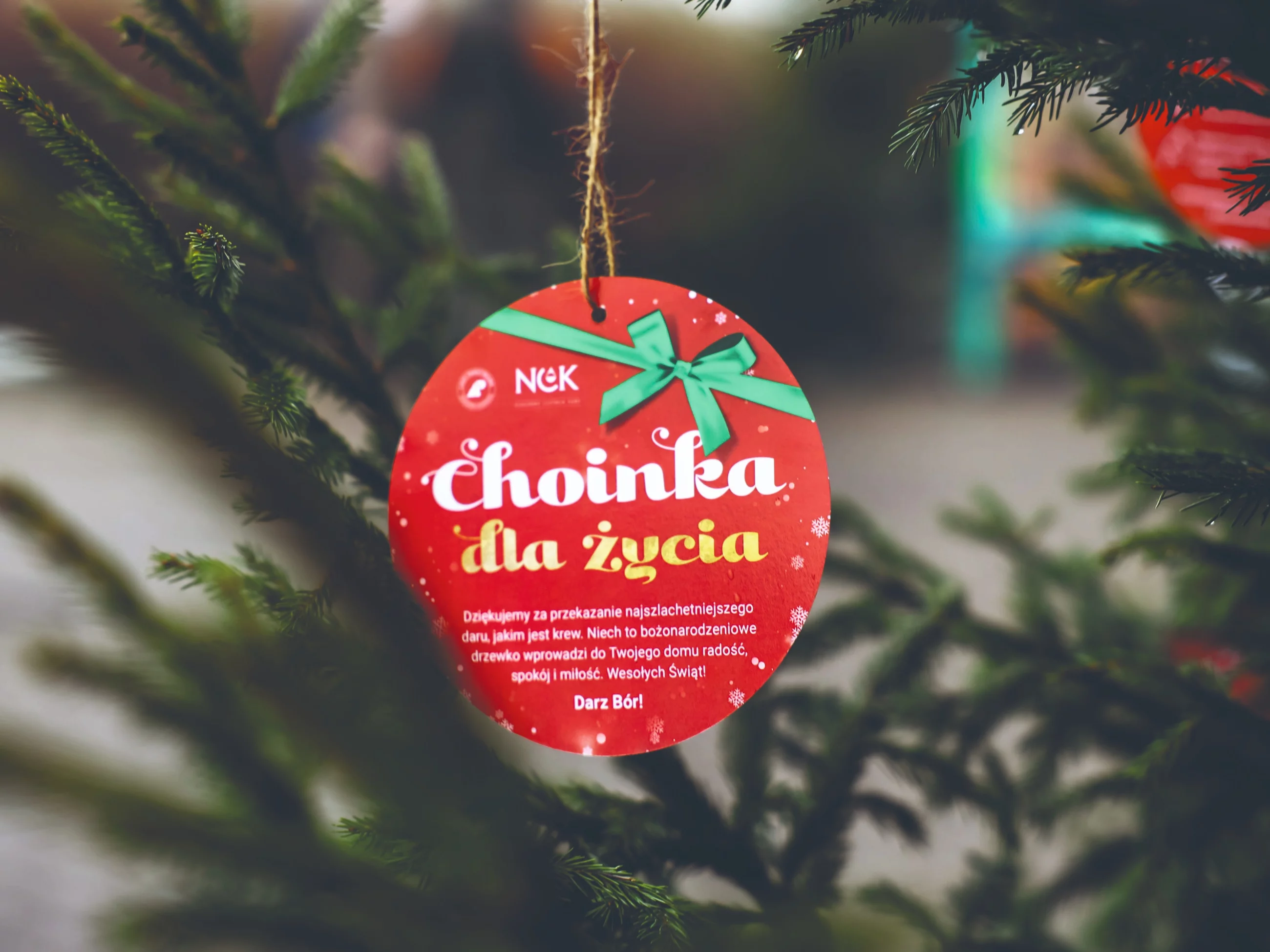 Choinki w podzięce dla krwiodawców