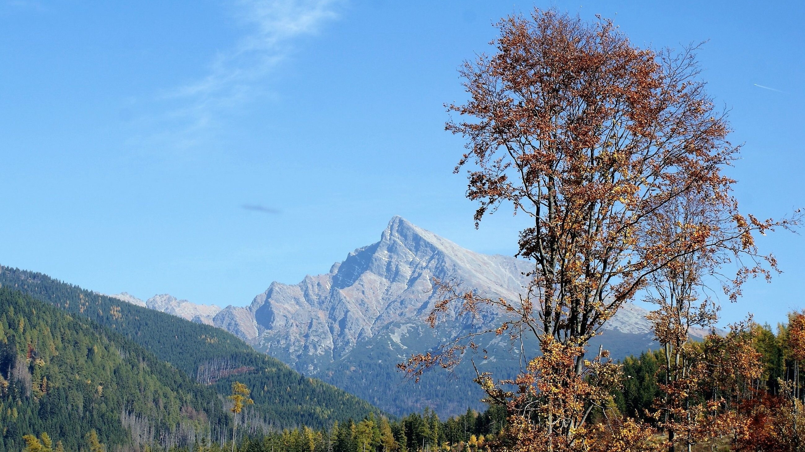 Krywań, Tatry