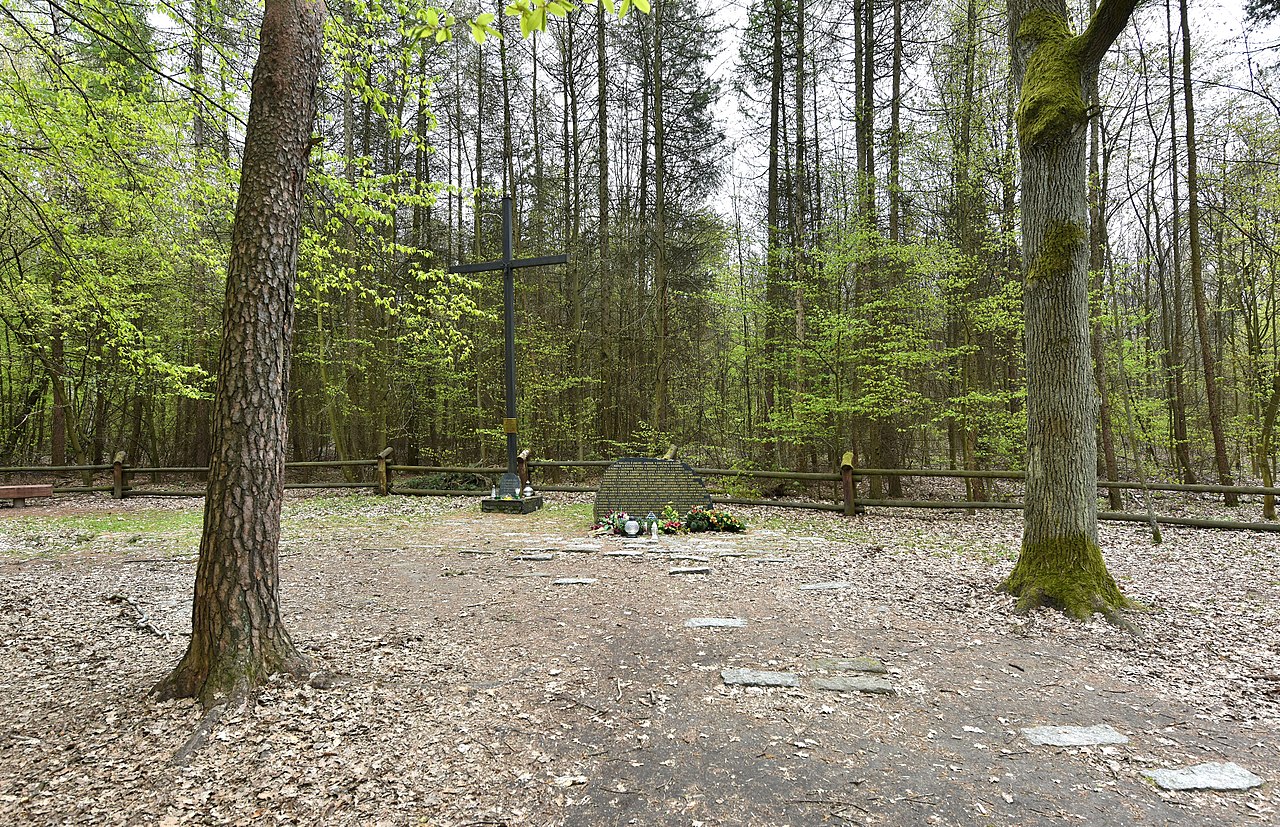 Upamiętnienie miejsca katastrofy lotniczej w Lesie Kabackim