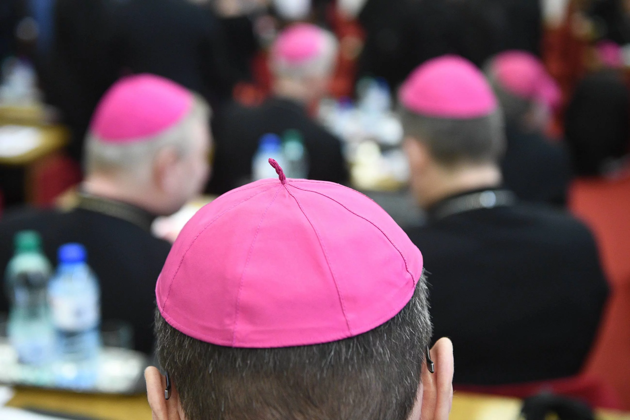 Czech bishops indicate who to vote for. 1  of the criteria is "defending the regulation  of law"