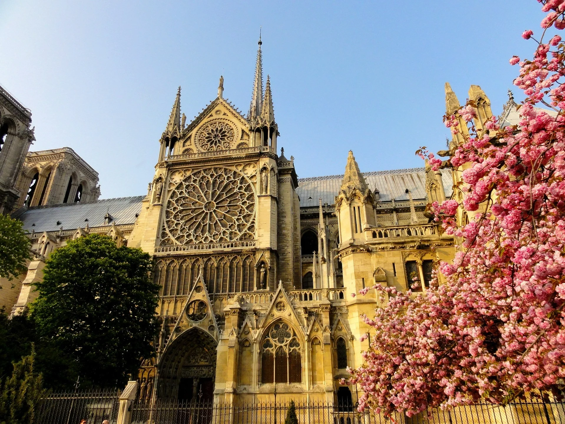 Notre-Dame de Paris – gotycka archikatedra w Paryżu