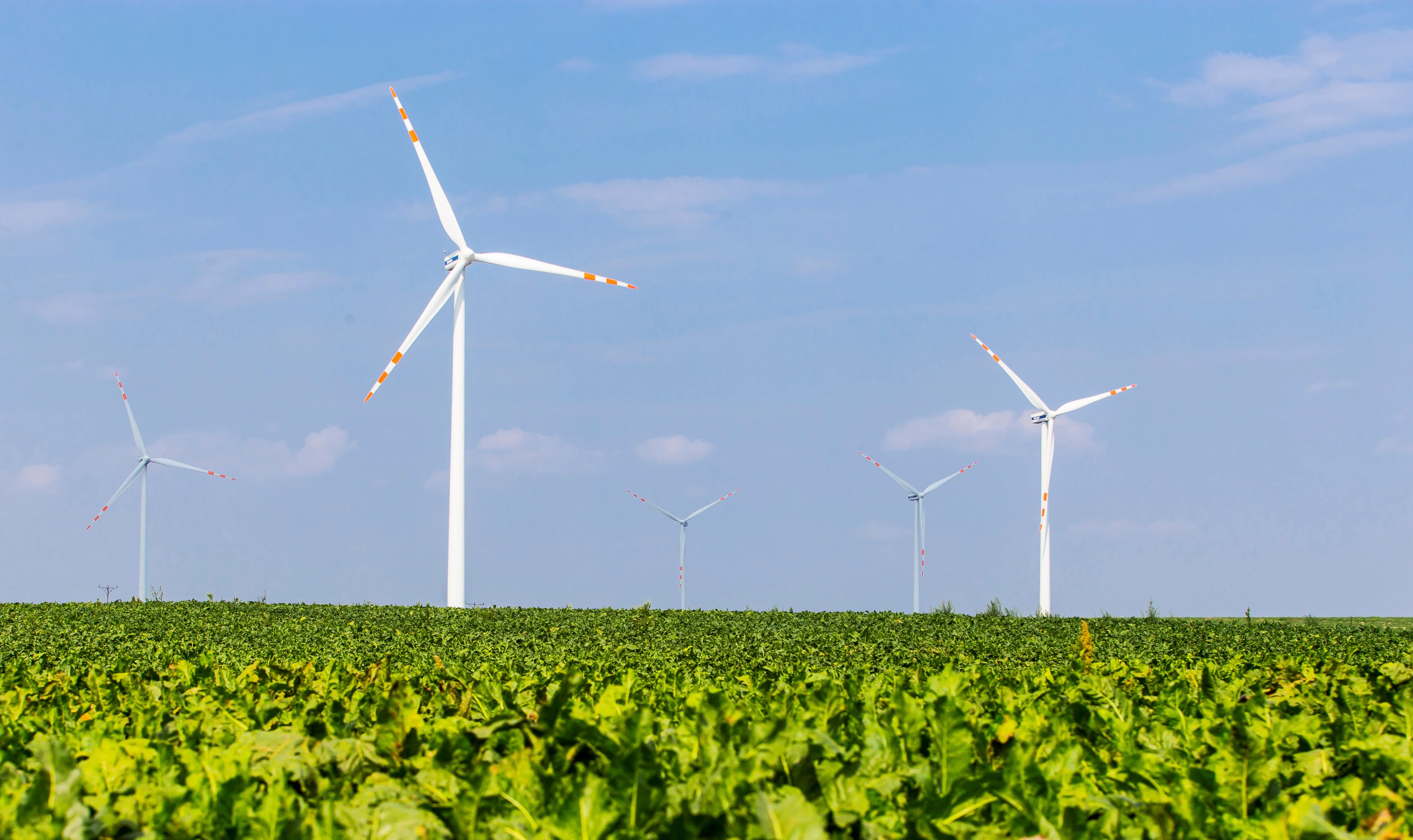 "Czyste Powietrze". Tyle wyniosły wypłaty