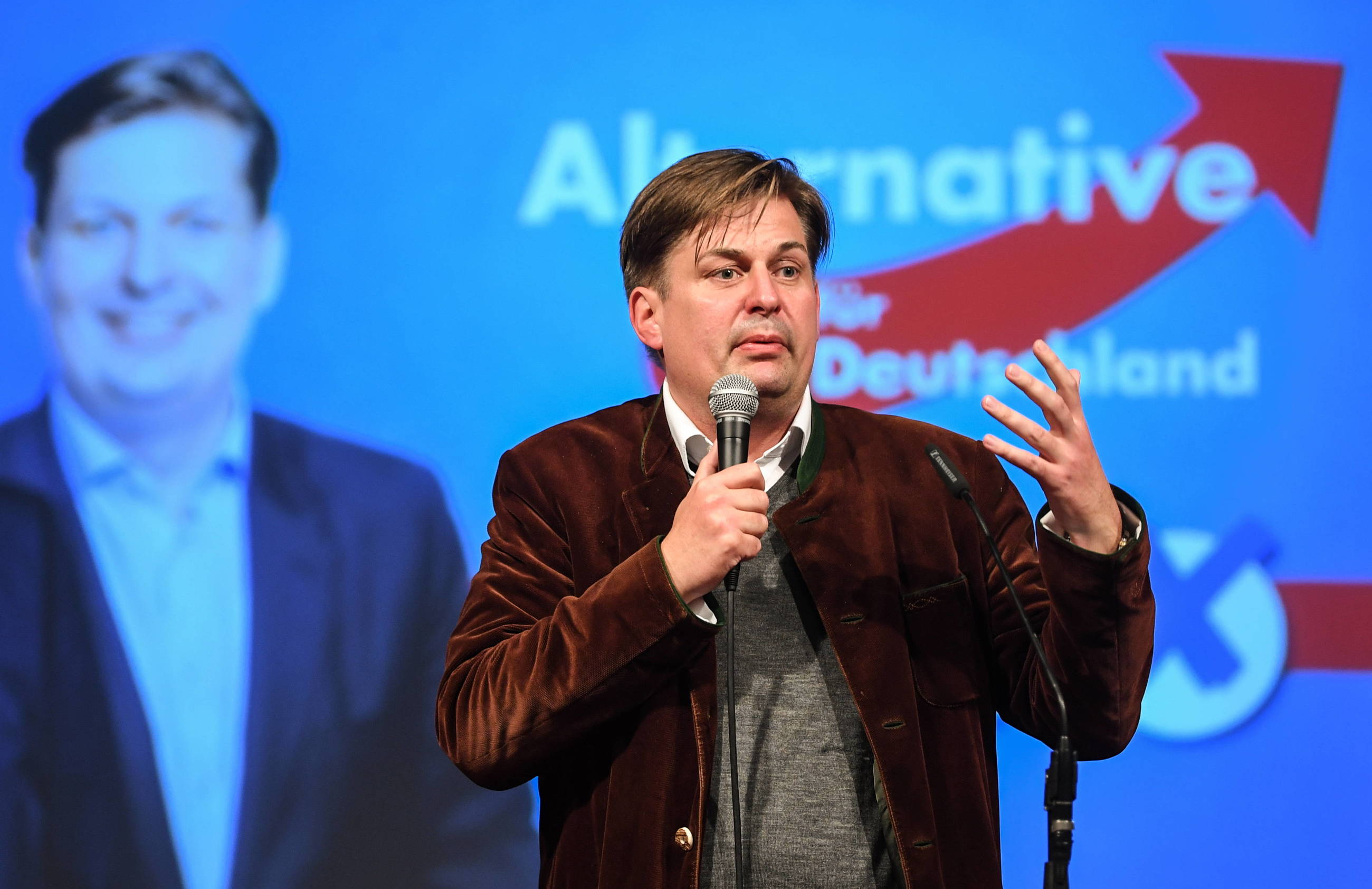 Maximilian Krah, AfD