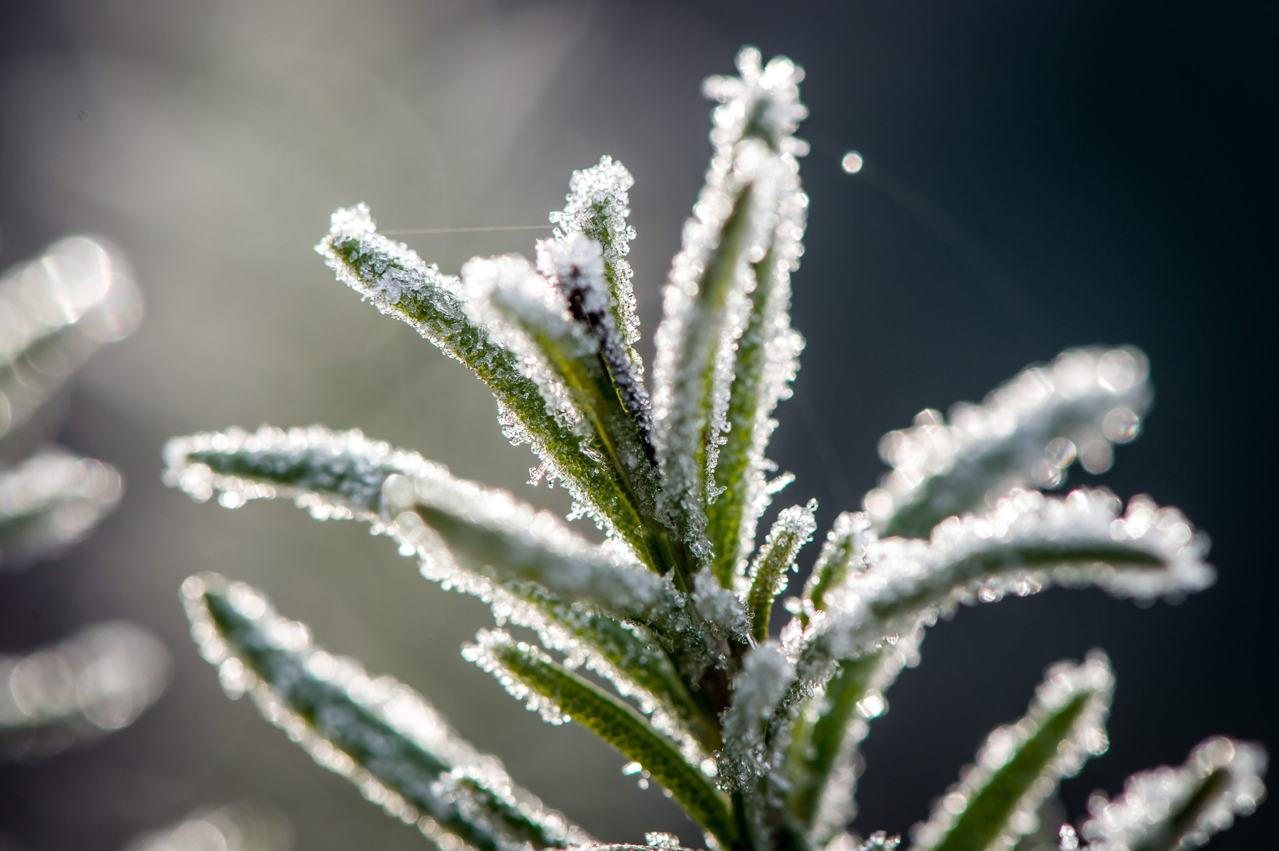 fot. zdjęcie ilustracyjne